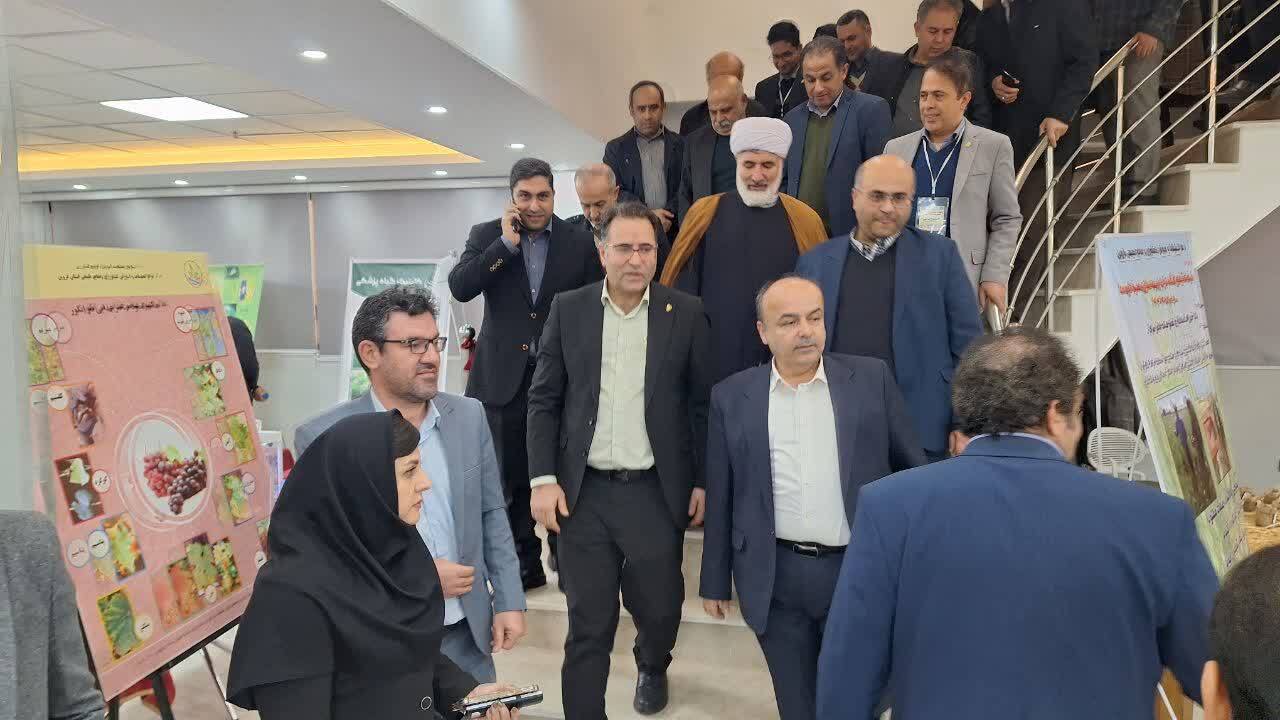 نمایشگاه کشاورزی دانش بنیان در قزوین گشایش یافت