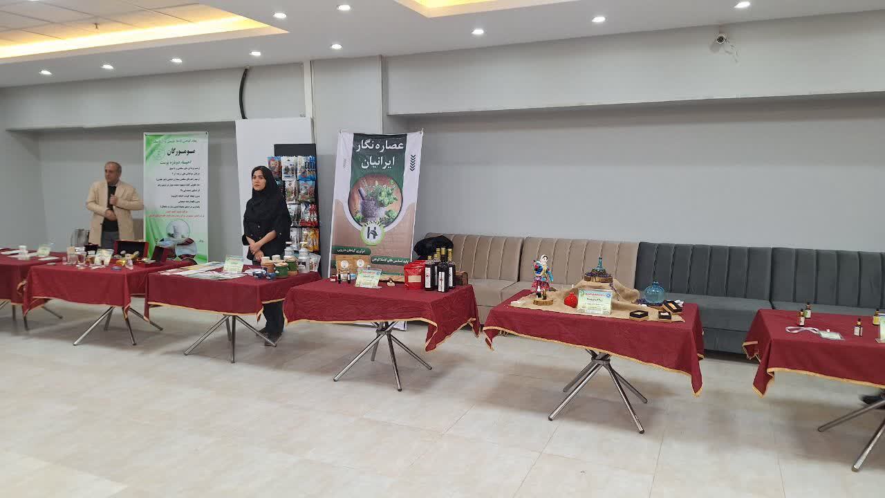 نمایشگاه کشاورزی دانش بنیان در قزوین گشایش یافت