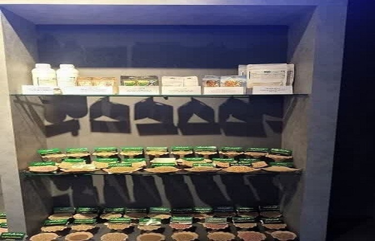 ضایعات کشاورزی با کمک فنآوری می تواند به ارزش افزوده و درآمد تبدیل شود