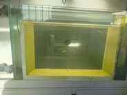 نصب سامانه بیومانیتورینگ گامی مهم در ارتقای پدافند غیر عامل و صیانت از سلامت آب