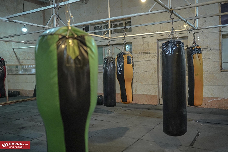 حوالی رینگ بوکس