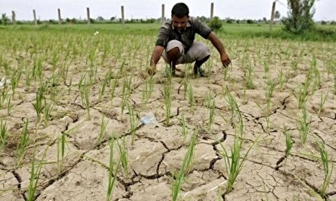 محدودیت منابع آبی و ضرورت تغییر الگوی کشت در طارم