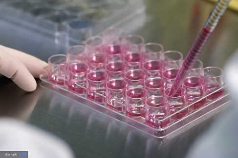 برگزاری کنگره ملی جراحی زنان با محور نوآوری و هوش مصنوعی