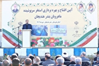 نماینده مردم هندیجان در مجلس: دنیامالی یکی از وزرای موفق دولت چهاردهم است