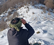 سرشماری پستانداران شاخص استان مازندران