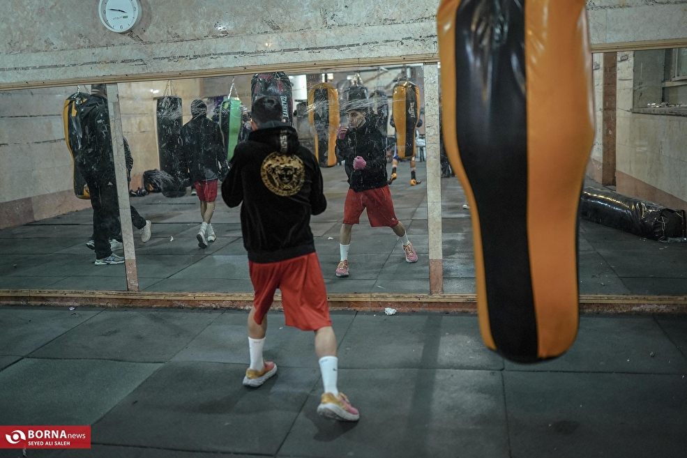 حوالی رینگ بوکس