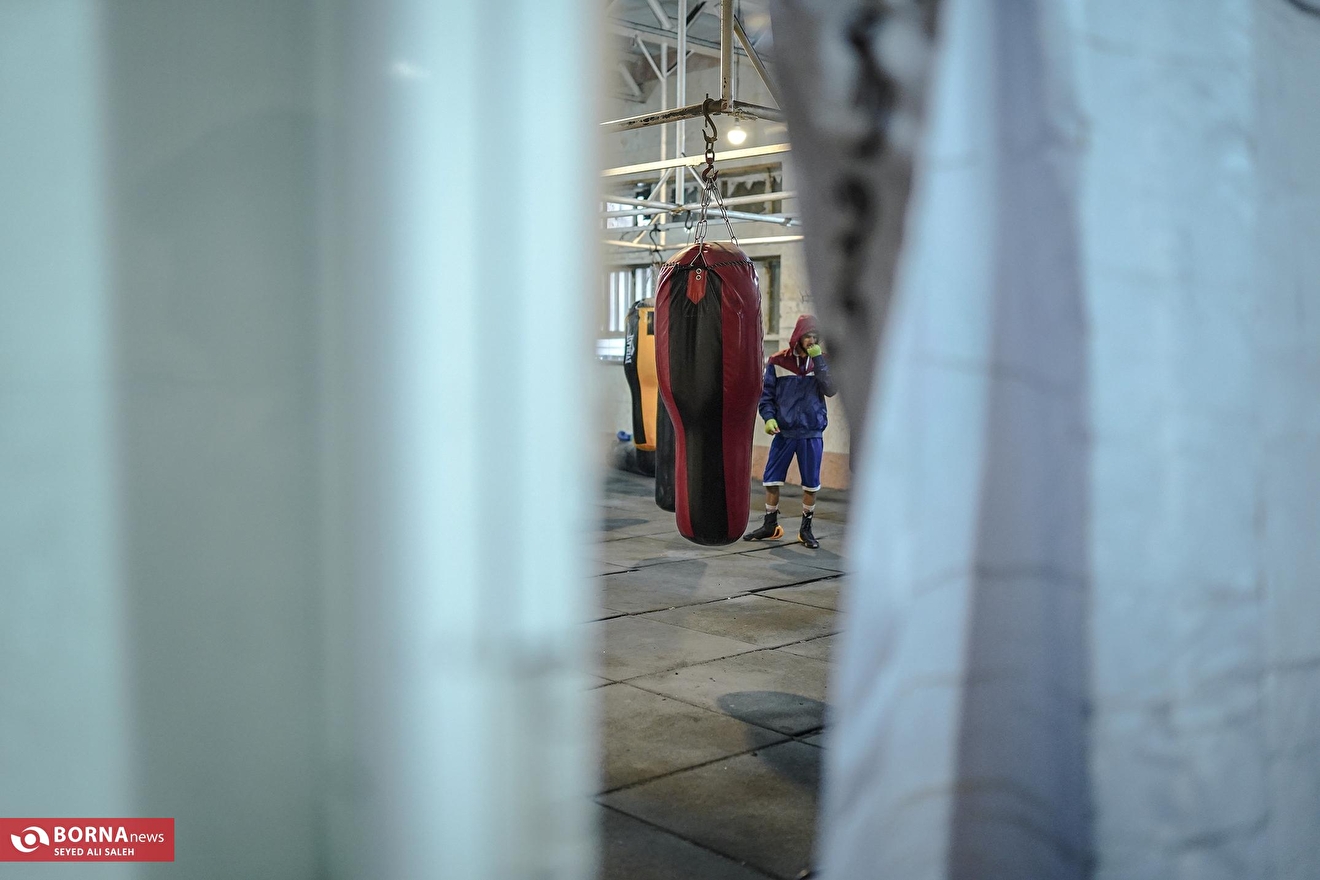 حوالی رینگ بوکس