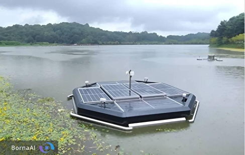 هوش مصنوعی به جنگ مناطق مرده آبی رفت+فیلم