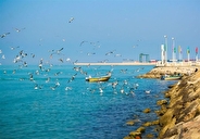 تدوین برنامه توسعه زیرساخت‌های گردشگری بندر بوشهر