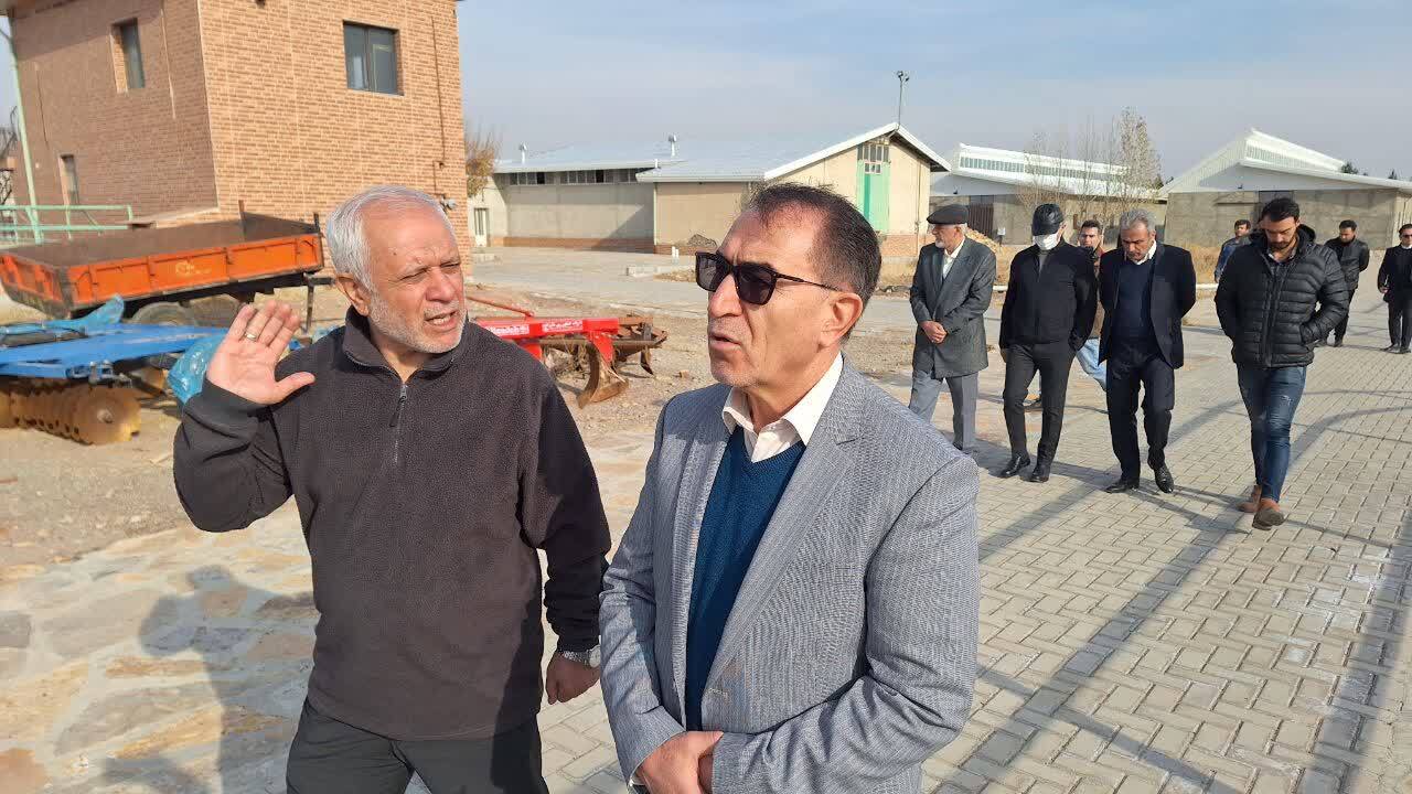 آموزش و ساماندهی فعالان عرصه سوارکاری از چالشهای مهم این رشته ورزشی است آموزش و ساماندهی فعالان عرصه سوارکاری از چالشهای مهم این رشته ورزشی است