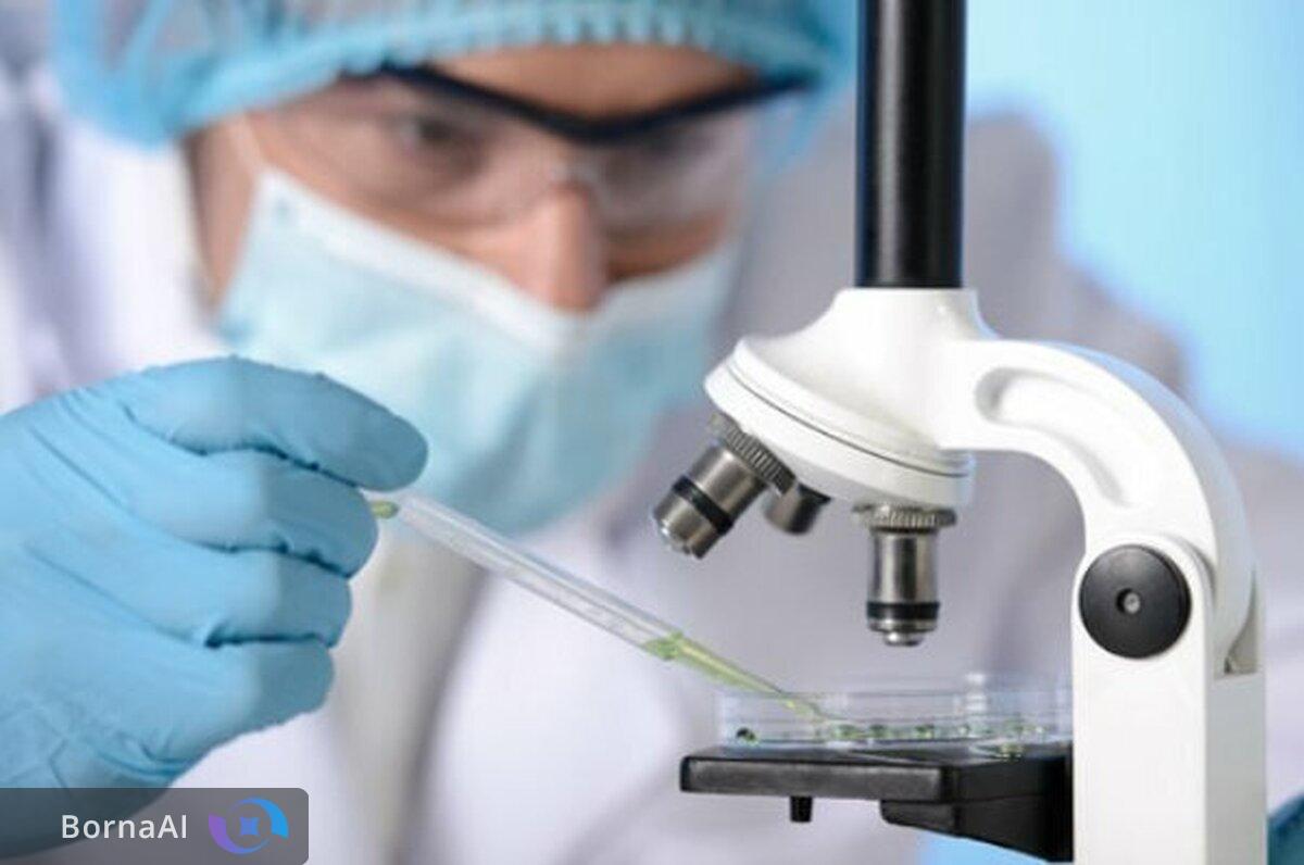 حمایت ۳ میلیاردی معاونت علمی از محققان بازگشته به کشور/ طرح ثبات چیست؟