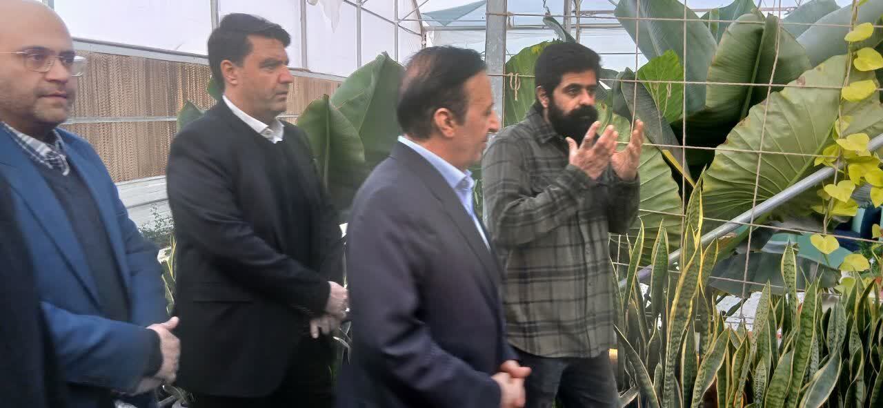 بازدید استاندار قزوین از مجتمع گردشگری–کشاورزی «گلخانه‌بین» شهر قزوین