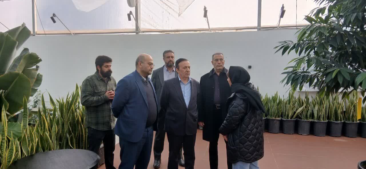 بازدید استاندار قزوین از مجتمع گردشگری–کشاورزی «گلخانه‌بین» شهر قزوین