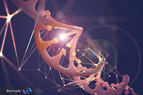 نقشه چهار بعدی ژنوم انسان برای اولین بار منتشر شد