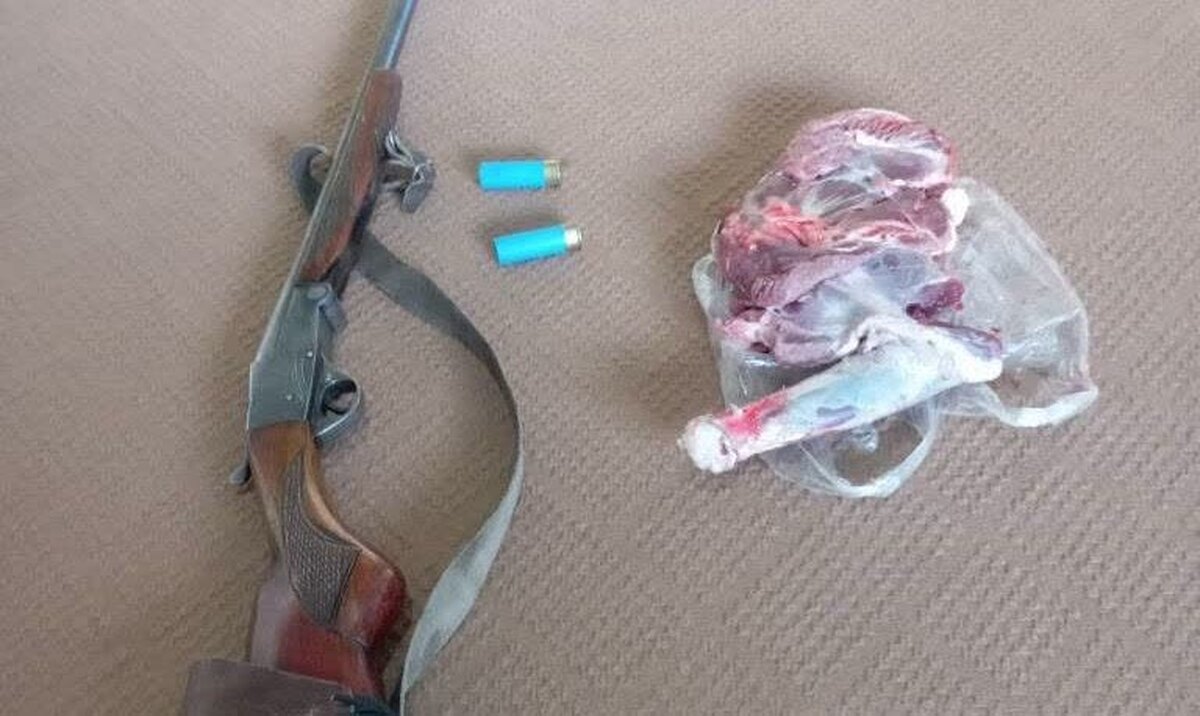 کشف کل وحشی و سلاح قاچاق در دل الموت غربی