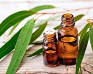 گیاهی مفید که به پوست شما آبرسانی می‌کند