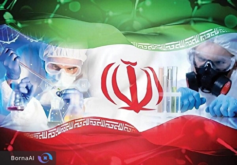 تمرکز اقتصادی نانو؛ کمتر از ۴ درصد بیش از نیمی از بازار