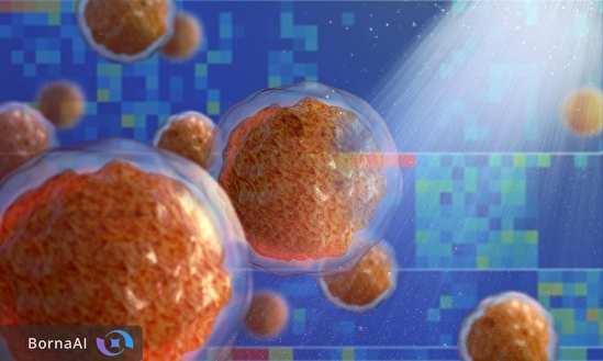 التهاب خاموش در مغز استخوان