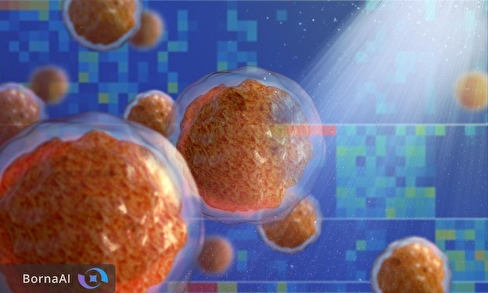 التهاب خاموش در مغز استخوان