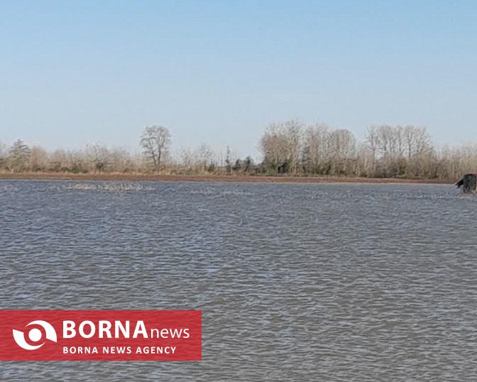 آغاز احیا و بهسازی آب بندان های استان گیلان