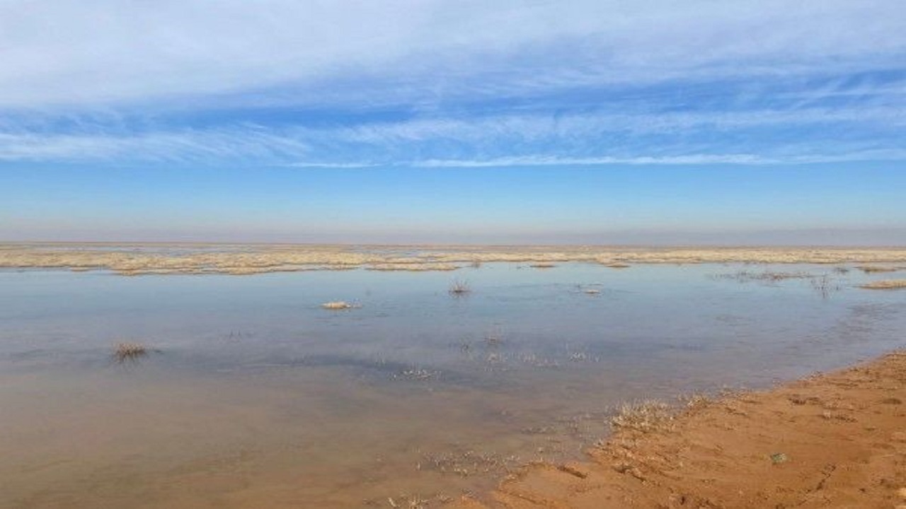 همکاری جوامع محلی؛ حیات تالاب‌ الله آباد راتضمین می کند