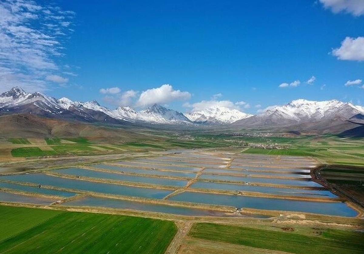 مدیرکل منابع طبیعی و آبخیزداری مازندران خبر داد: پیمودن مسیر ۳۰ ساله آبخیزداری در غرب مازندران طی چند سال