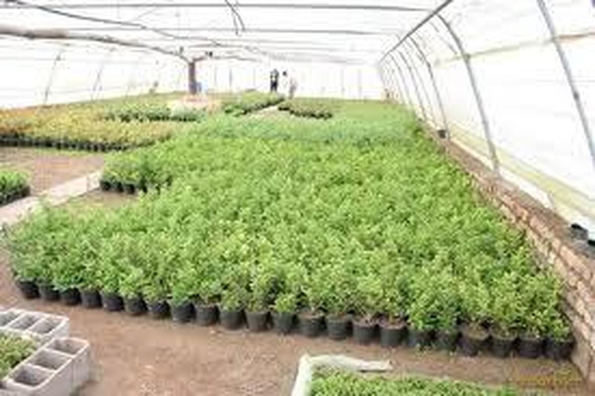 برگزاری بیست‌ویکمین نمایشگاه تخصصی ماشین آلات کشاورزی مشهد