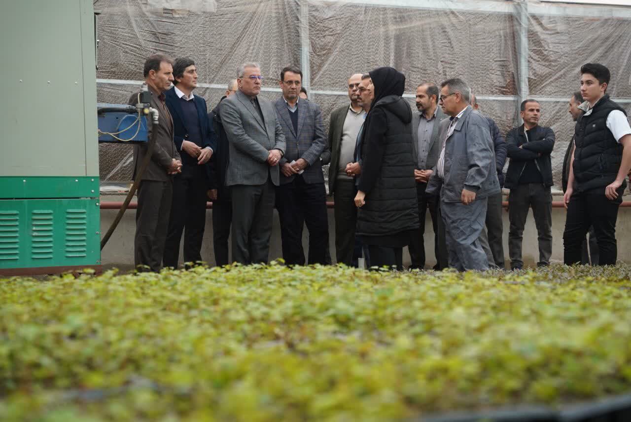مجموعه گلخانه های در روستای مهدی آباد افتتاح شد