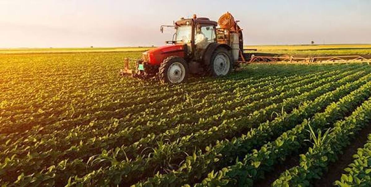 پنج پروژه کشاورزی در شهرستان فارسان به بهره‌برداری می‌رسد