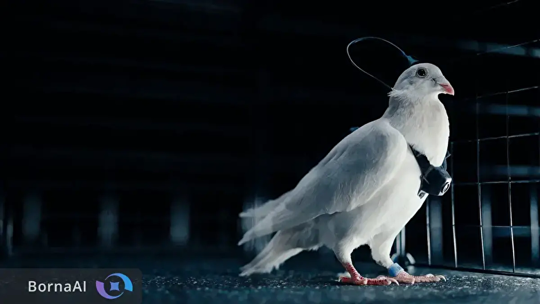 پرواز کنترل‌شده کبوتر‌ها با مغز مصنوعی؛ فناوری روسی جایگزین پهپاد‌ها می‌شود