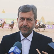 جمالی‌نژاد: چوگان نماد هویت ایرانی است