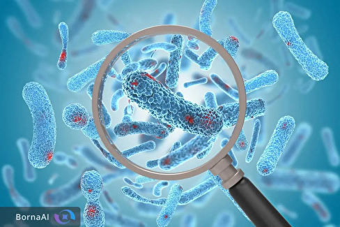 امیدی تازه در مقابله با سپسیس؛ داروی جدید جان بیماران را نجات می‌دهد