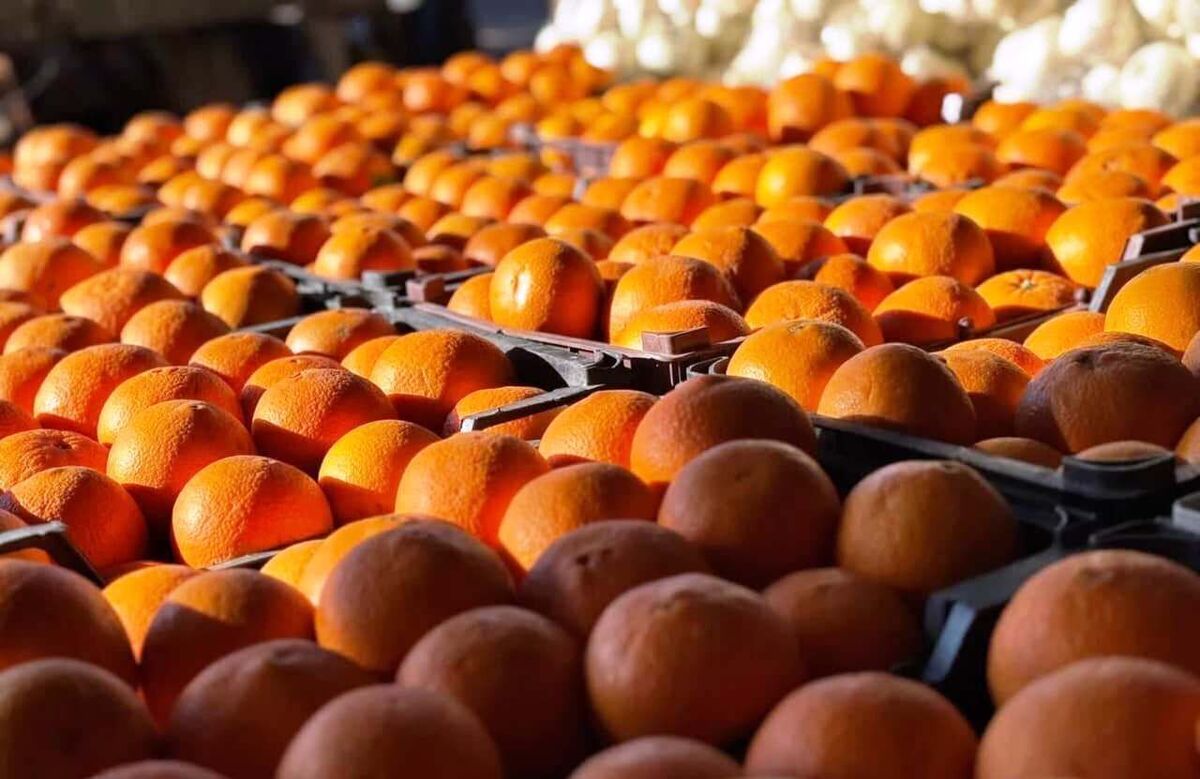 ذخیره‌سازی ۳۹۷ تن میوه شب عید و ماه‌رمضان در آذربایجان‌غربی