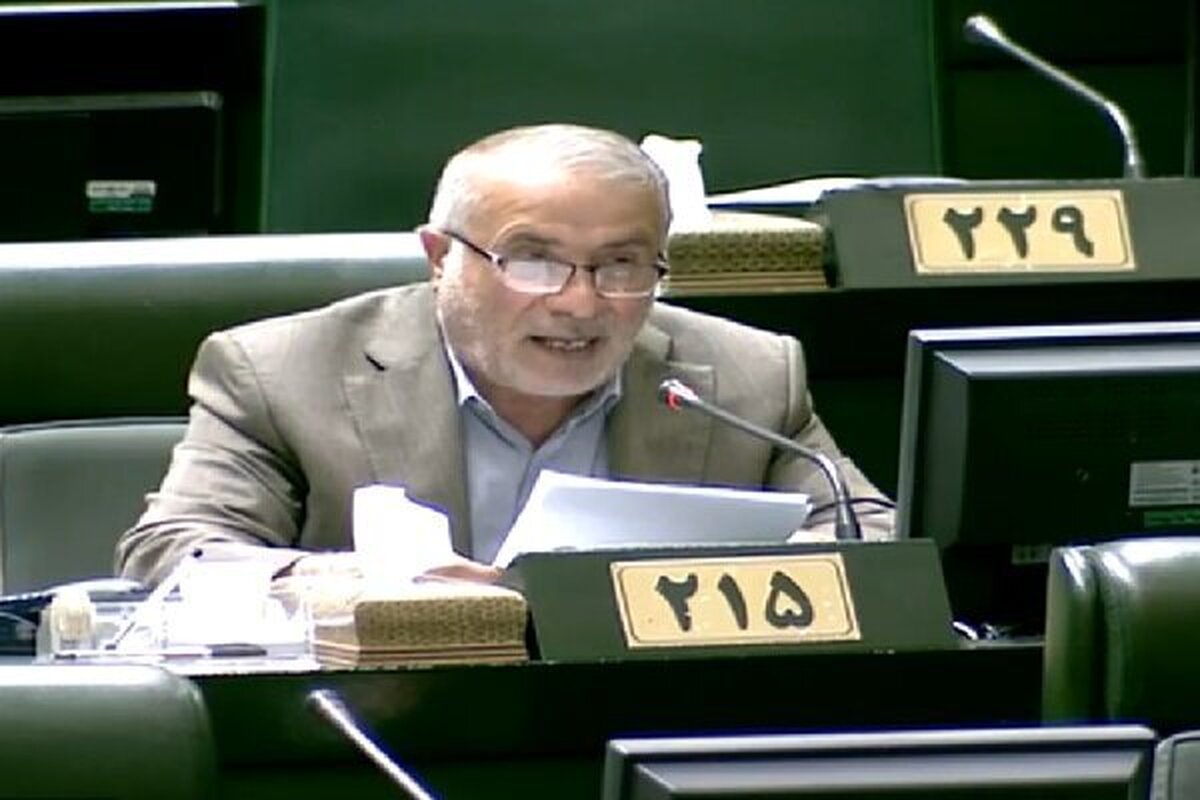 دولت باید تلاش کند ارزش پول ملی در برابر عوامل خارجی به ثبات برسد