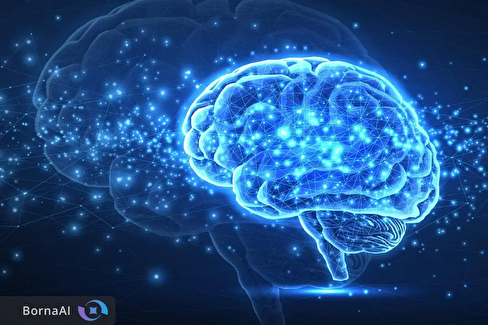 کشف شباهت شگفت‌انگیز مغز به هوش مصنوعی؛ انسان چگونه زبان را درک می‌کند؟