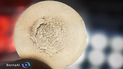 فناوری تازه برای شکار فلزات با الیاف گیاهی