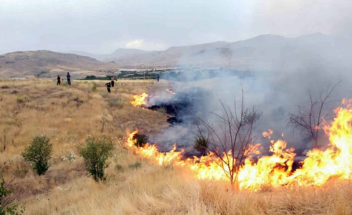 آتش زدن بقایای مزارع کشاورزی جرم و تهدیدی علیه طبیعت است