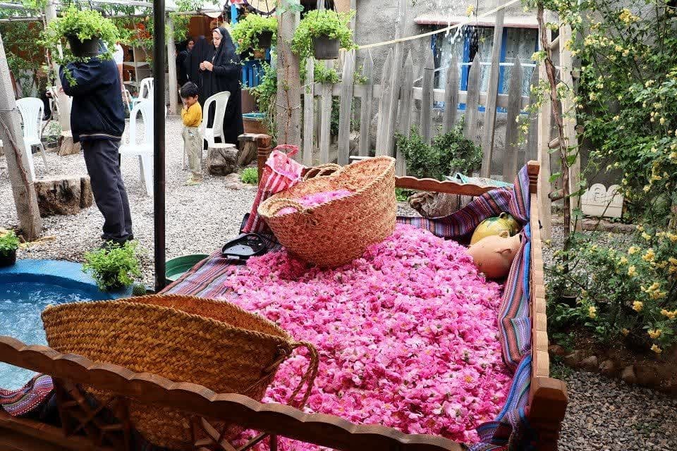 برگزاری سومین جشنواره گل محمدی روستای خوزنین شهرستان بوئین زهرا