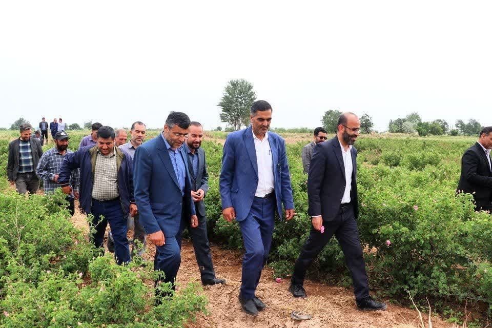 برگزاری سومین جشنواره گل محمدی روستای خوزنین شهرستان بوئین زهرا