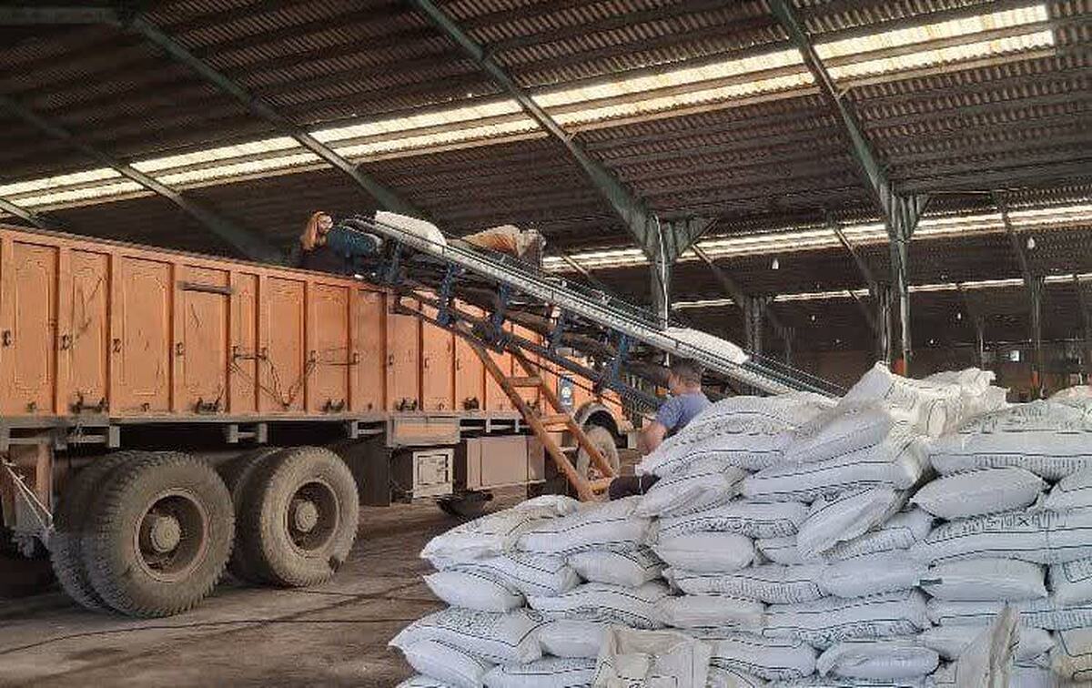 کود شیمیایی مورد نیاز کشور تامین شده است