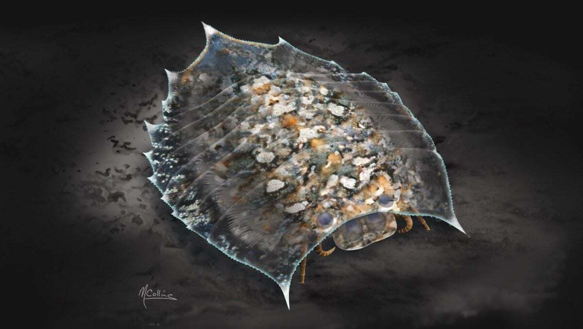 حل معمای ۱۰۰ ساله هلمتیا؛ اکسپانسا راه می‌رفت!