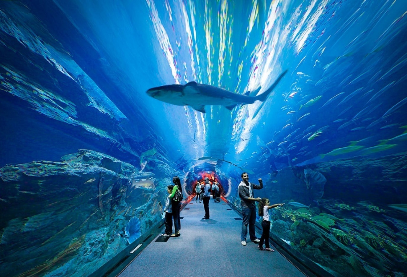 تفریحات دبی