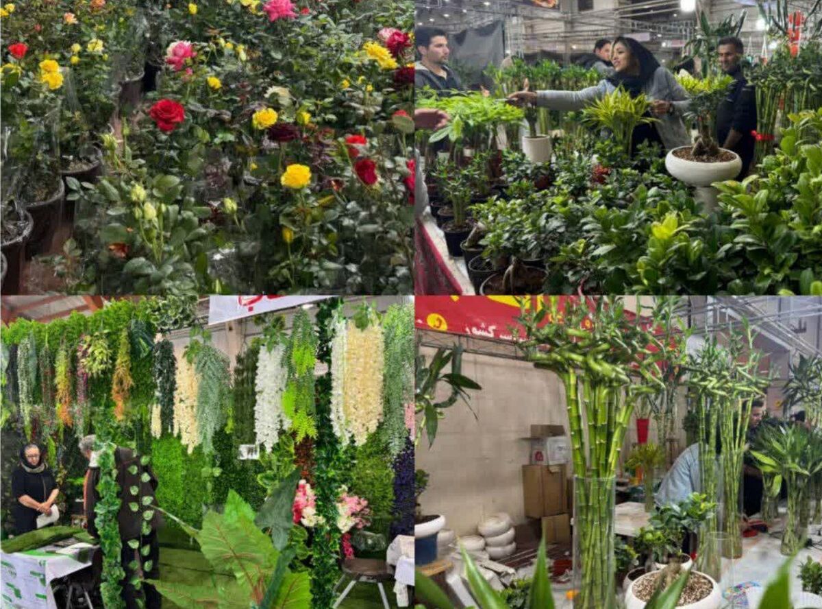 آغاز به‌کار بیستمین نمایشگاه گل و گیاه در قزوین