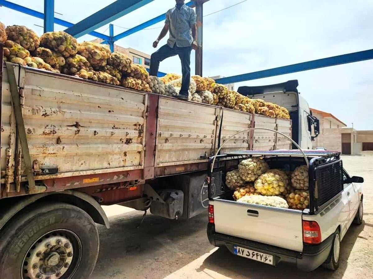 توزیع 78 تن پیاز بین مددجویان کمیته امداد پاکدشت