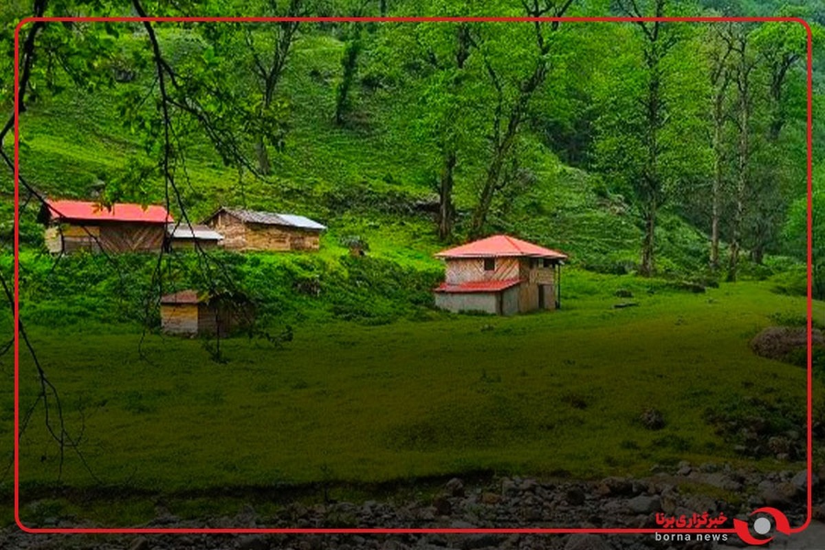 ییلاق زیبای نوشا در ارتفاعات تنکابن