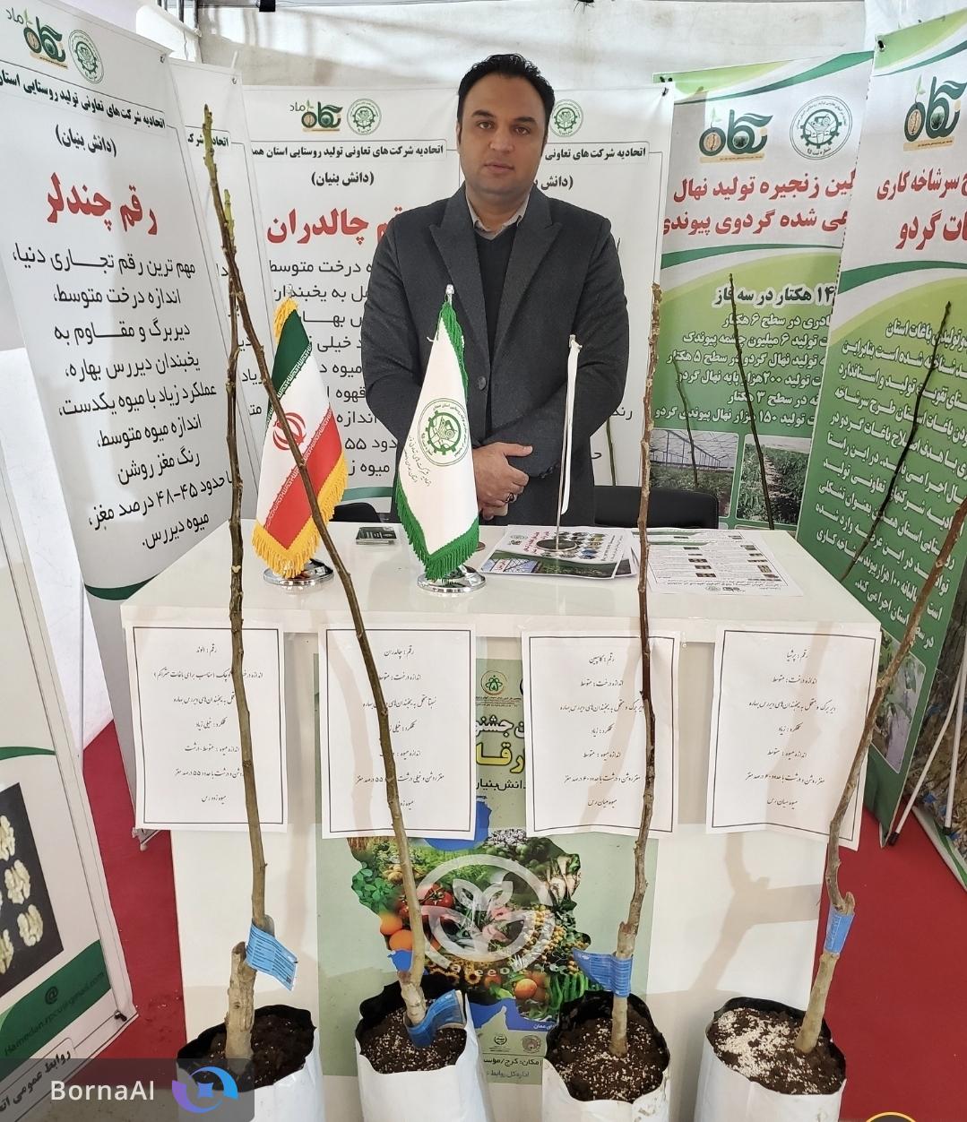 راهکار علمی برای حل مشکلات تولید گردو در کشور