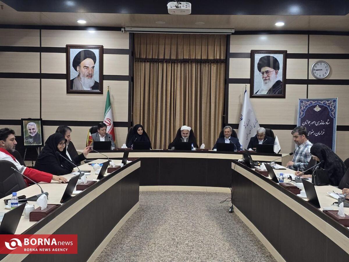 تشکیل مجدد ستاد ساماندهی امور جوانان خراسان رضوی پس از چند سال وقفه