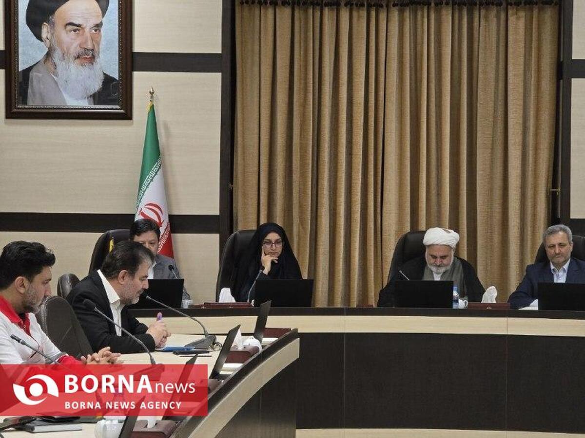 میرزایی‌راد: تشکیل مجدد ستاد ساماندهی امور جوانان نشان از توجه ویژه دولت و استانداری به حوزه جوانان است