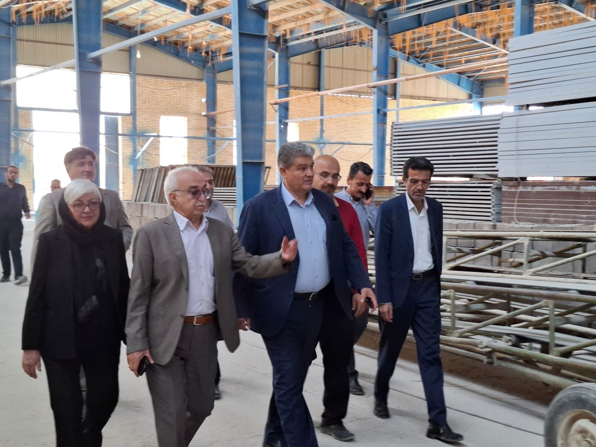 بازدید مدیرکل تعاون،کار و رفاه اجتماعی کهگیلویه و بویراحمد از کارخانه آجر دهدشت /نگاه دولت تقویت سرمایه گذاری است