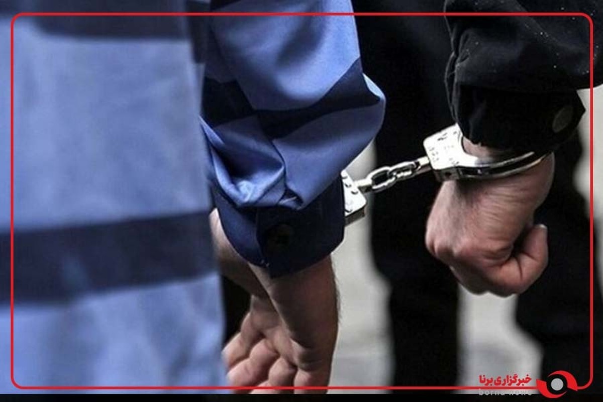 گریه‌های سارق بی رحم پس از دستگیری